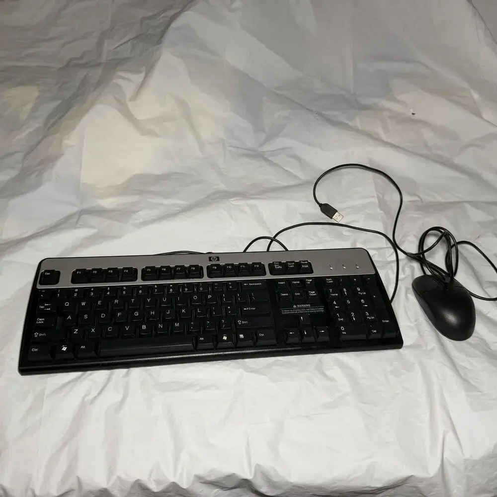 Genuine HP 104 Keys Standard Black/Silver USB-Wired Keyboard KU-0316 With Mouse